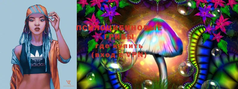 Псилоцибиновые грибы Magic Shrooms  Невьянск 